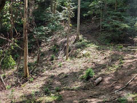 99999 Running Deer Lane unit: 73, Mars Hill, NC 28754