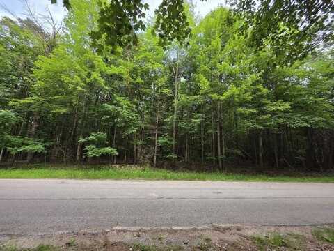 SPRUCE Drive, WILD ROSE, WI 54984