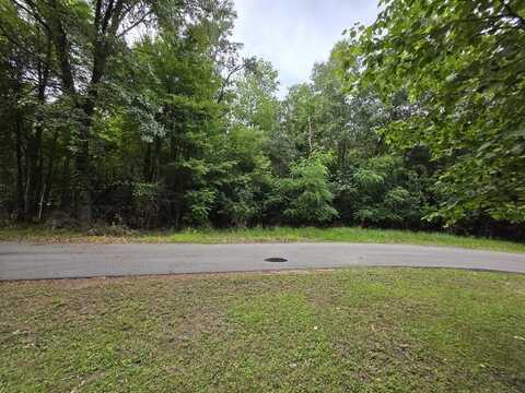 PINE Lane, WILD ROSE, WI 54984