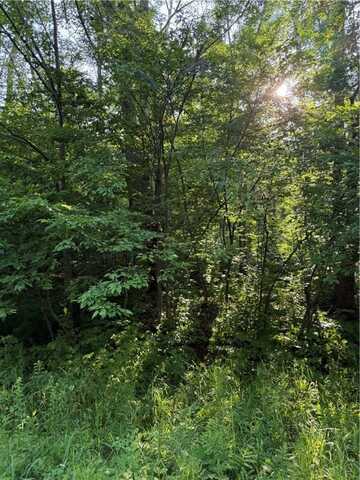 0 N Mack Lake Road, Trego, WI 54888