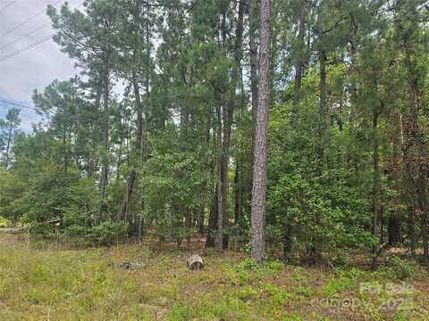 Johnny Williams Road unit: 5, Kershaw, SC 29067