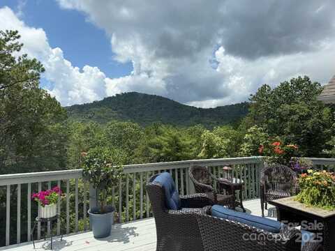 36 Lynx Drive, Black Mountain, NC 28711