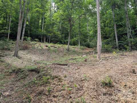 99999 Running Deer Lane unit: 72, Mars Hill, NC 28754