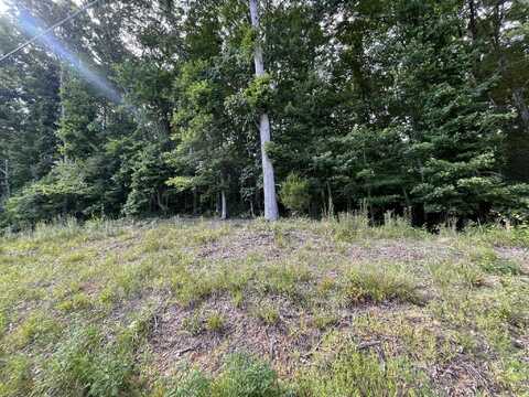 Lot 4 Keylon Hollow Road, Ten Mile, TN 37880