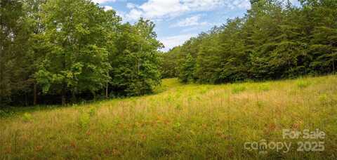 99999 Lavender Road, Old Fort, NC 28762