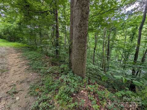 99999 Whispering Woods Path unit: 44, Mars Hill, NC 28754