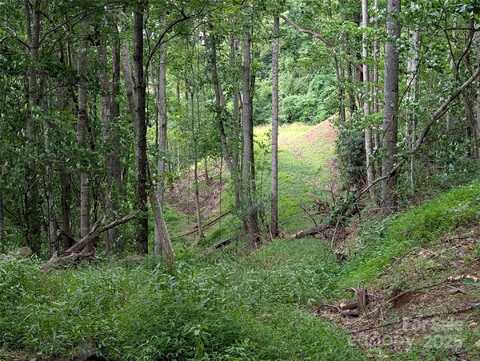 99999 Running Deer Lane unit: 25, Mars Hill, NC 28754