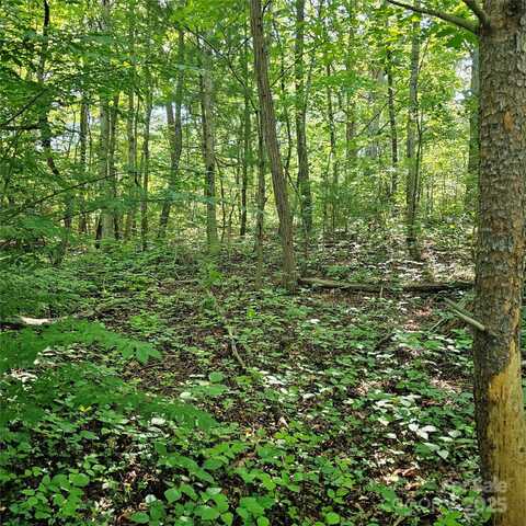 99999 Campground Road, Asheville, NC 28805