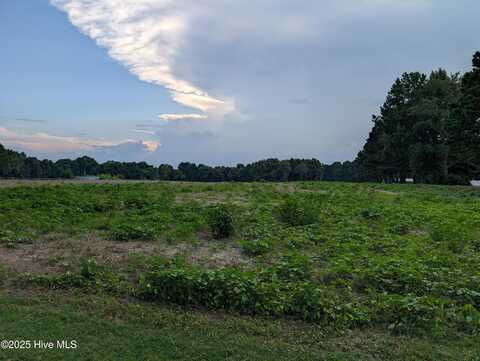 0 S Nc 58 Highway S, Elm City, NC 27822