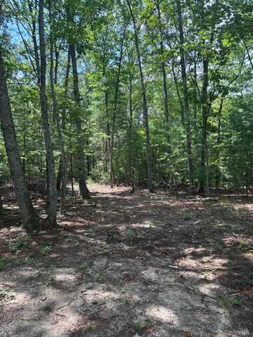 0 Cheatham Road, Monroe, VA 24574