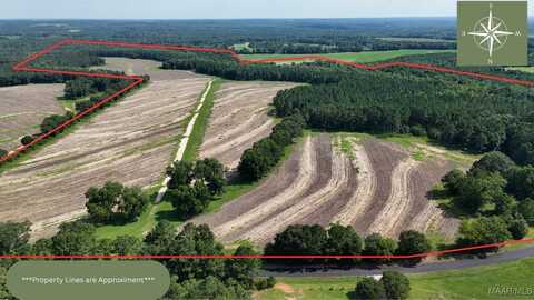 216 County Road 201, Ariton, AL 36010