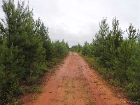 Montezuma Road, Greenville, AL 36037