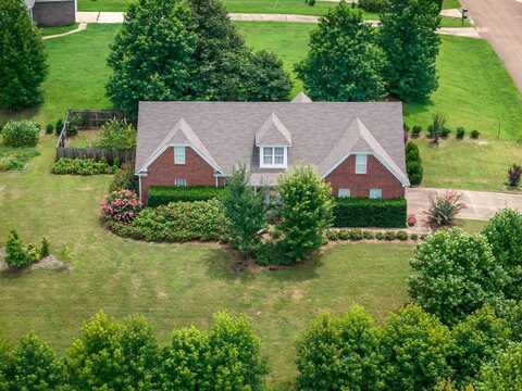 544 RACHEL SHANKLE, Munford, TN 38058