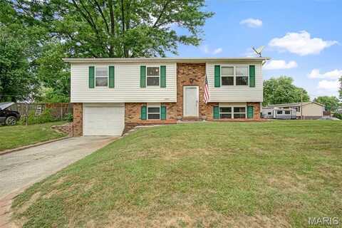 17615 Lesabre Court, Brighton, IL 62012