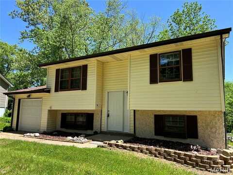 11632 Mimeaux Drive, Saint Louis, MO 63138