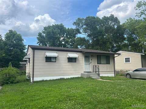 1123 Rhea Avenue, Unincorporated, MO 63138