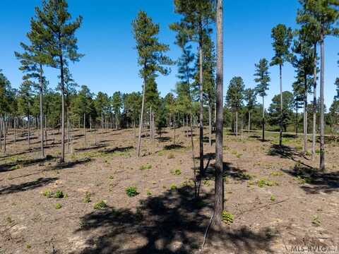 Lot 4 Christanna Highway, Lawrenceville, VA 23868