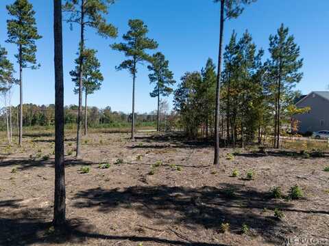 Lot 5 Christanna Highway, Lawrenceville, VA 23868
