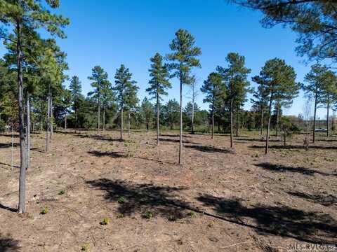 Lot 1 Christiana Highway, Lawrenceville, VA 23868
