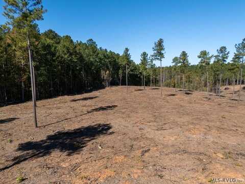 1.41 AC Millville Road, Lawrenceville, VA 23868