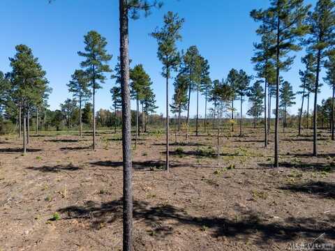Lot 2 Christianna Highway, Lawrenceville, VA 23868