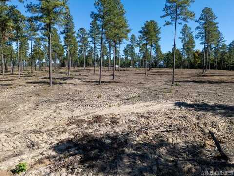 Lot 9 Millville Road, Lawrenceville, VA 23968