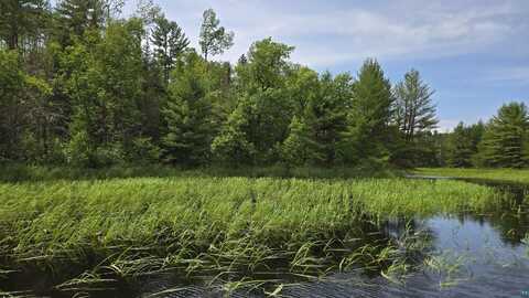 TBD 40N Rollick Creek, Crane Lake, MN 55725