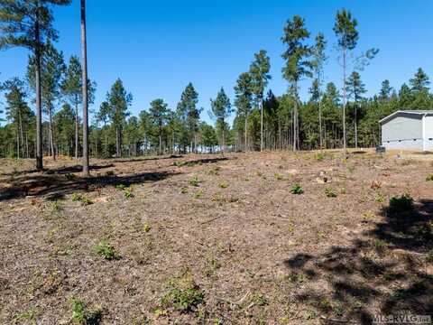 Lot 8 Millville Road, Lawrenceville, VA 23968