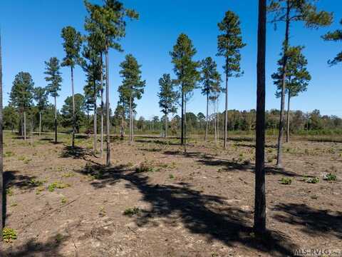Lot 3 Christanna Highway, Lawrenceville, VA 23868