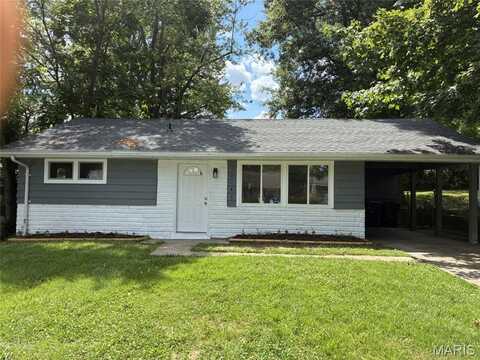 10141 Ventura Drive, Saint Louis, MO 63136