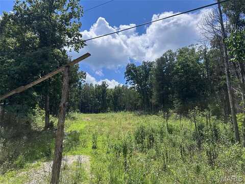 0 Buckeye Road, Dittmer, MO 63023