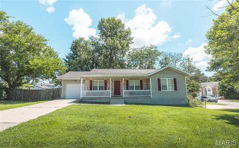 305 Pine Tree Road, Rolla, MO 65401