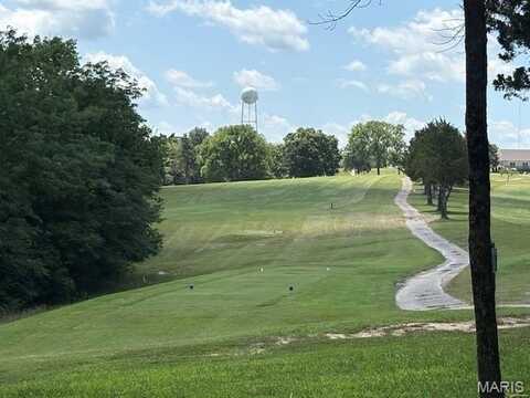 0 Greenwood Drive, Hillsboro, MO 63050