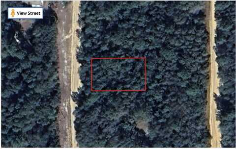 Tbd Louise Avenue, Interlachen, FL 32148