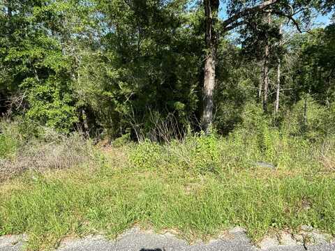 0 E White Rose Street, DeFuniak Springs, FL 32433