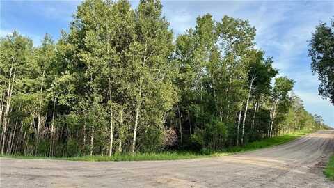 Tbd Holly Road, Park Rapids, MN 56470