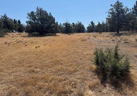 Unit 3 Lot 124 Juniper Peak, Weed, CA 96094
