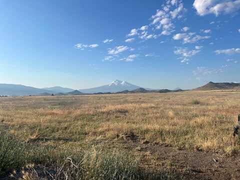 40 Acres Ball Mtn Little Shasta Rd, Montague, CA 96064