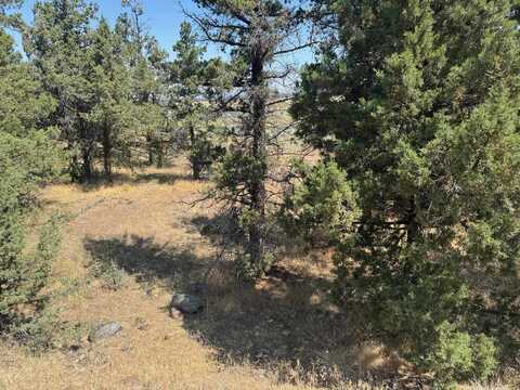 Unit 3 Lot 161 Lake Shore Dr, Weed, CA 96094