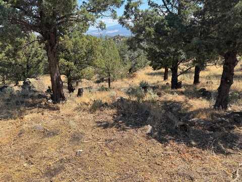 Unit 9-2 Lot 39 Blackhawk Dr, Weed, CA 96094