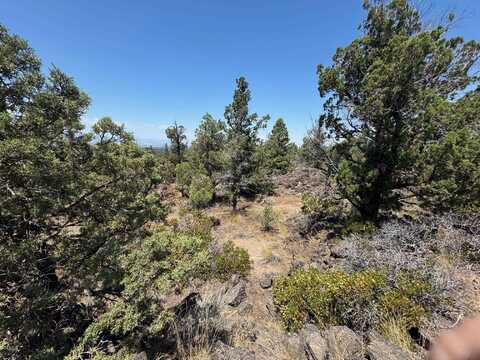 Blk 22 Lot 33 Thrush Road, Montague, CA 96064