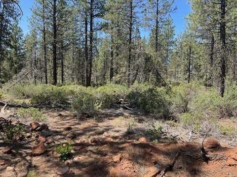 Mathews Rd, Dorris, CA 96058