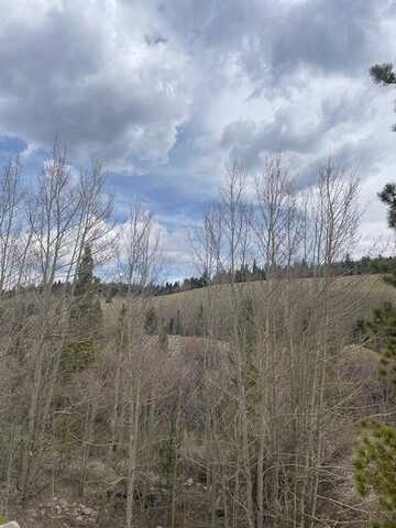 1582 BEAVER CREEK ROAD, Fairplay, CO 80440