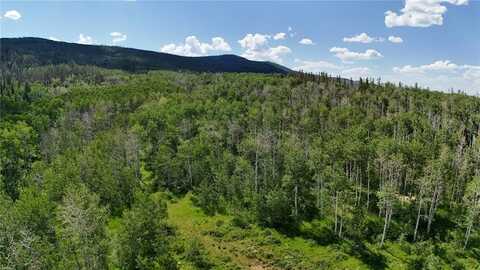 Lot 23 GALLOP TRAIL, Oak Creek, CO 80467