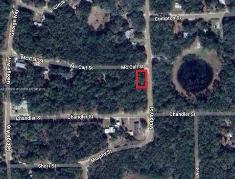 0 McCALL ST, Other City - In The State Of Florida, FL 32148