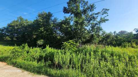 0 Prairie View Court, Waynesboro, GA 30830