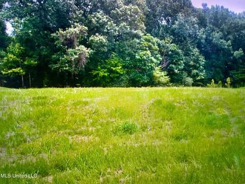 Chestnut Hill Road, Flora, MS 39071