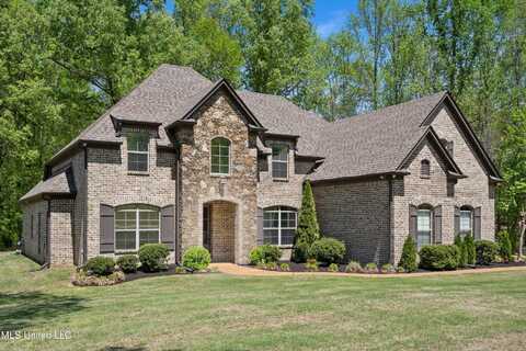 8240 Steven Henry Drive, Hernando, MS 38632