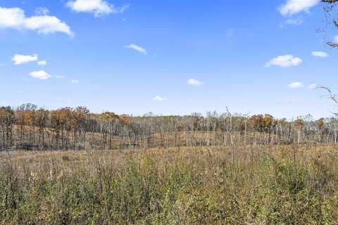 40 AC #1 Co Rd 1067, Vinemont, AL 35179