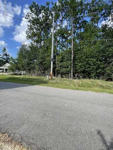 E Riverline Drive, Saucier, MS 39574